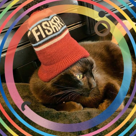 Meet your Posher, Eric - Picture 1 of 1